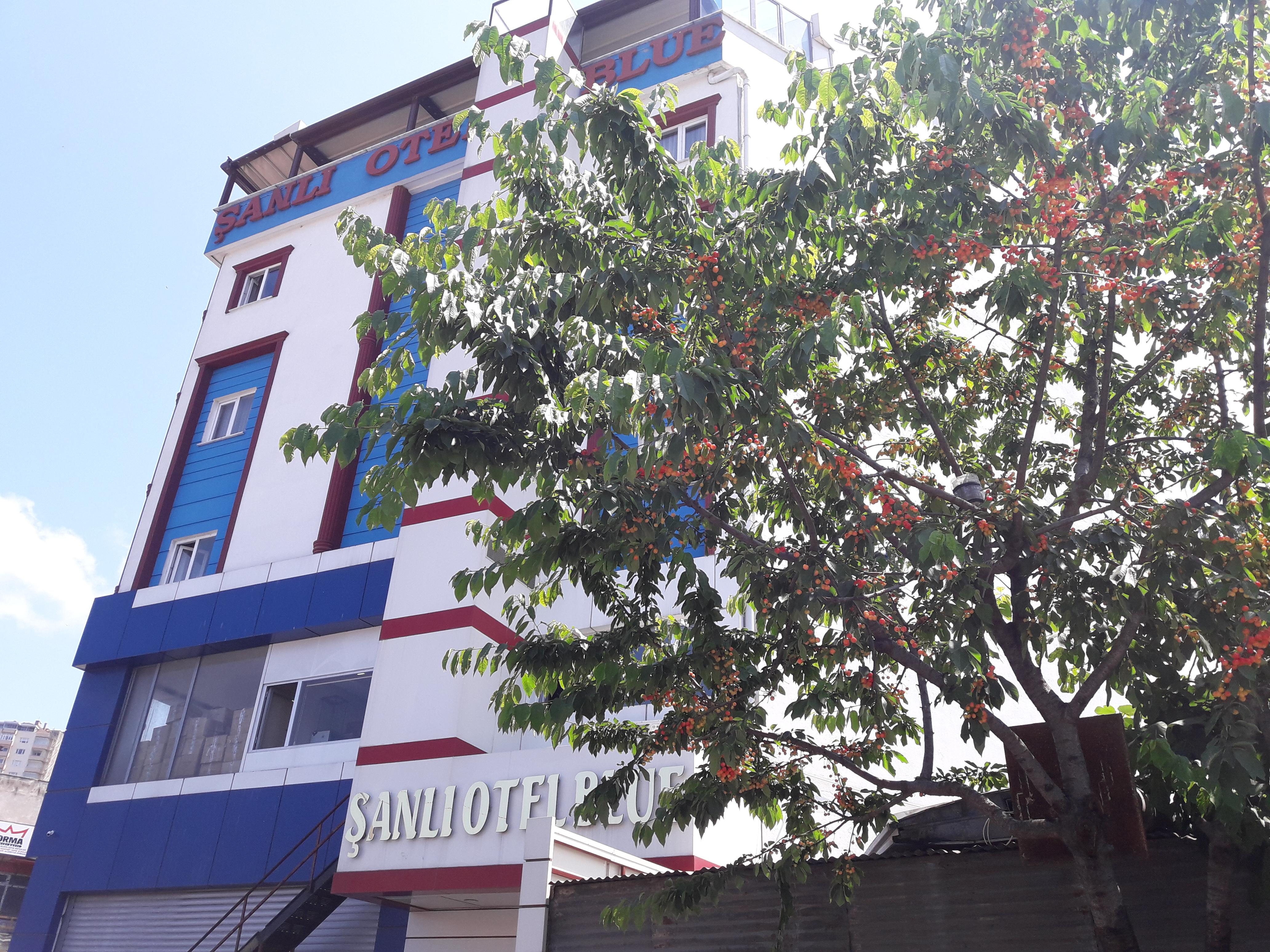 Sanli Hotel Blue Trabzon Eksteriør billede